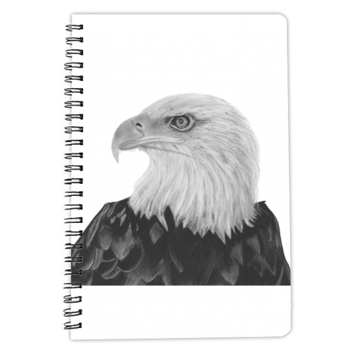 Bald Eagle  *DISCOUNTED OFFERS* A3 A4 Limited Edition Original Print 