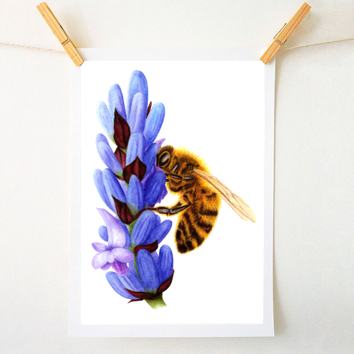 Worker Bee & Lavender - A1 - A4 art print by Sarah Percy