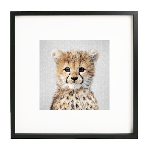 Baby Cheetah - Colorful - white/black framed print by Gal Design