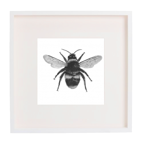 Bee - framed poster print by LIBRA FINE ARTS