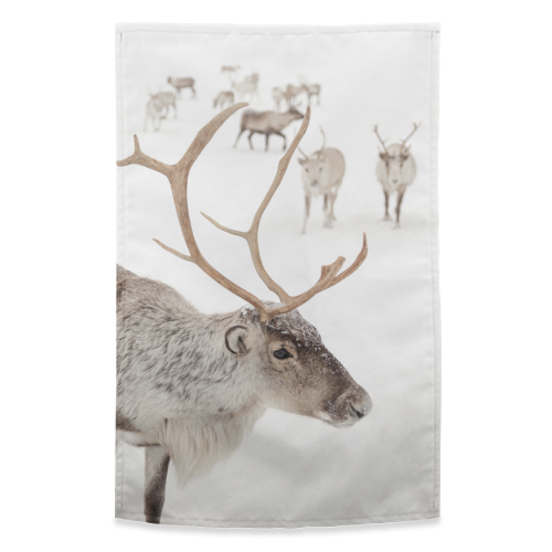 Reindeer In Norway - funny tea towel by Henrike Schenk