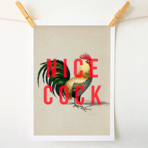 Nice Cock - A1 - A4 art print by The 13 Prints