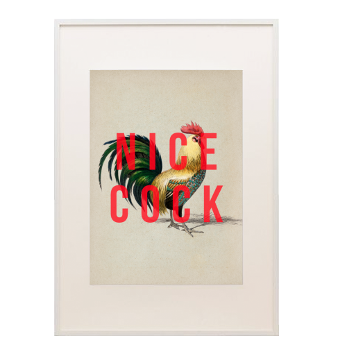 Nice Cock - framed poster print by The 13 Prints