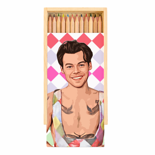 RAINBOW CHECK HARRY - Coloured Pencils with Box by DOLLY WOLFE