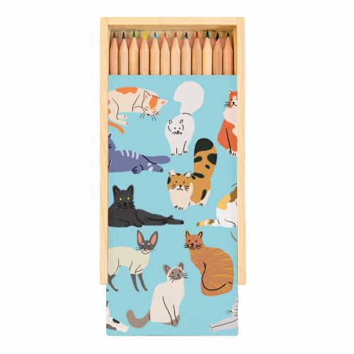 Cats - Coloured Pencils with Box by Lilly Rose