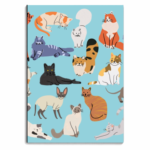 Cats - personalised A4, A5, A6 notebook by Lilly Rose