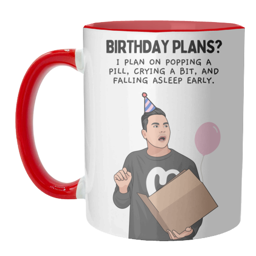 Birthday Plans? Crying And Sleeping Early Funny Introvert Quote - unique mug by Sundiva Designs