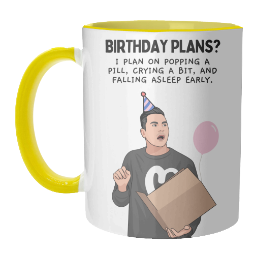 Birthday Plans? Crying And Sleeping Early Funny Introvert Quote - unique mug by Sundiva Designs