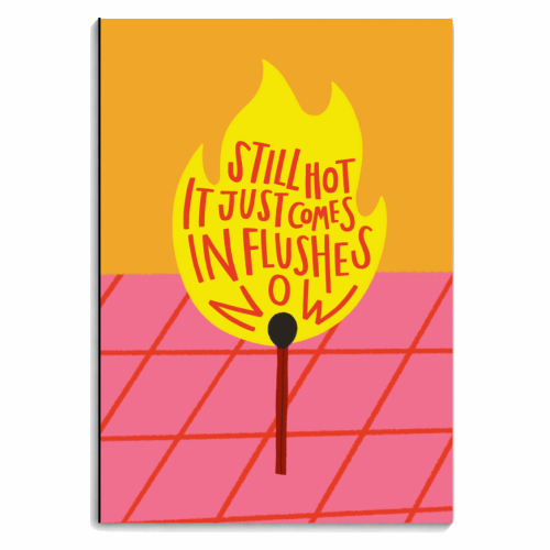 HOT FLUSHES - personalised A4, A5, A6 notebook by AbiGoLucky