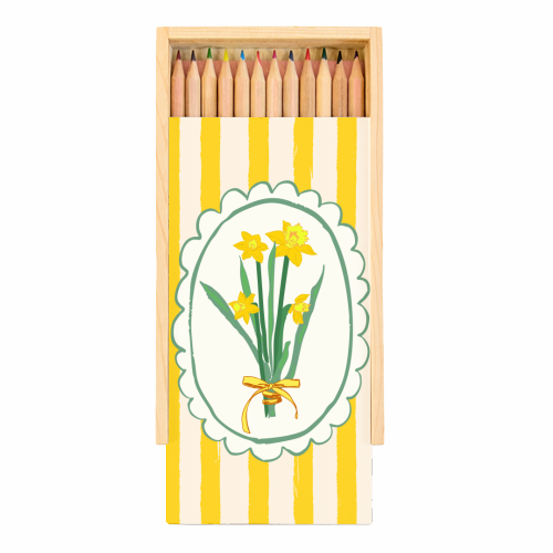 Retro Daffodils Bouquet Yellow Stripes Whimsical Border - Coloured Pencils with Box by AbstraBotanica by Ezbie