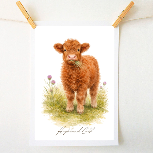 Highland Calf - A1 - A4 art print by Wildling Studio
