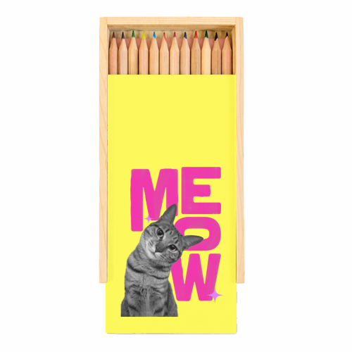 Meow Retro Cat Collage | Neon Pink & Red Pop Art Statement - Coloured Pencils with Box by Ania Wieclaw