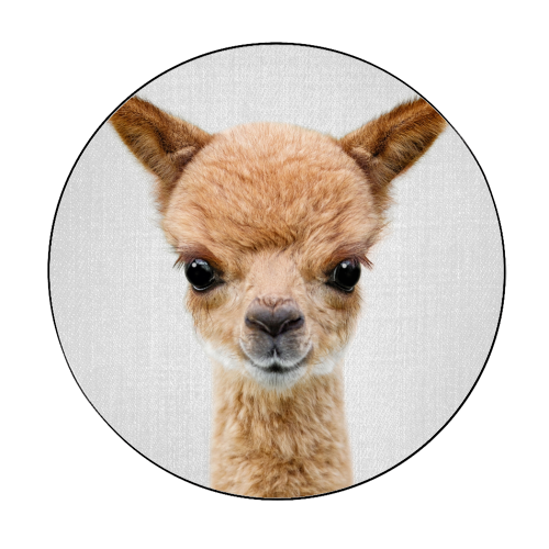 Baby Alpaca - Circle Sticker by Gal Design