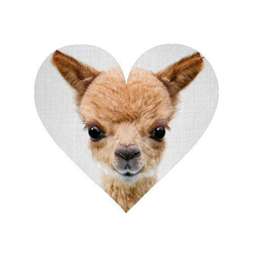 Baby Alpaca - Magnet by Gal Design