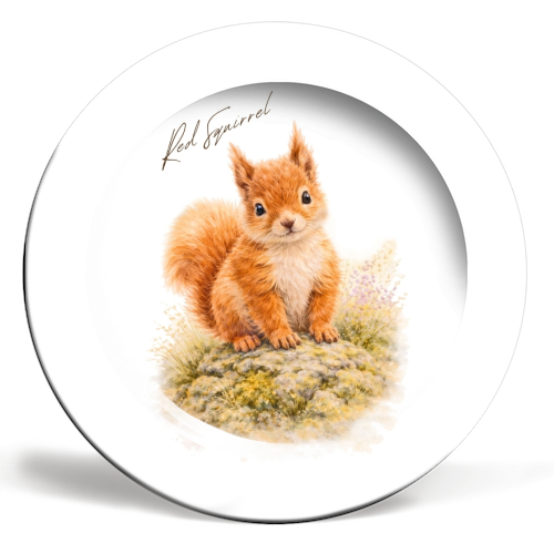 Red Squirrel - ceramic dinner plate by Wildling Studio