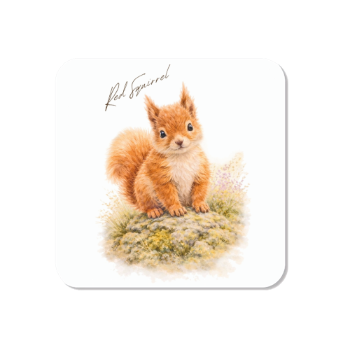 Red Squirrel - Magnet by Wildling Studio