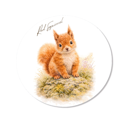 Red Squirrel - Magnet by Wildling Studio