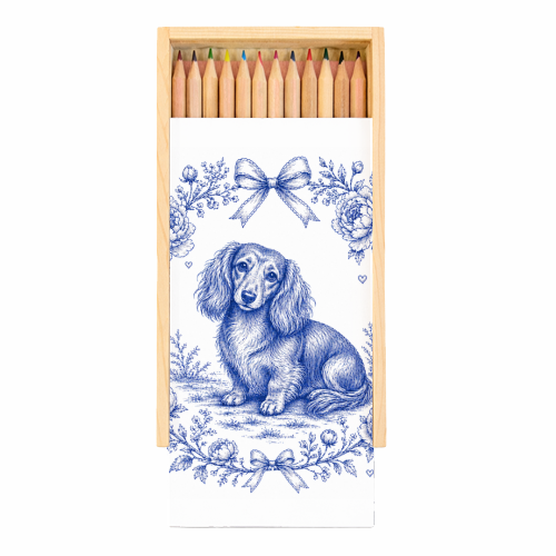 Long Haired Dachshund - Coloured Pencils with Box by Lilly Rose