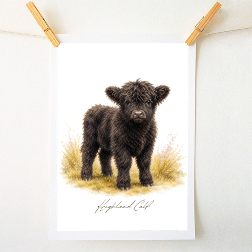 Black Highland Calf - A1 - A4 art print by Wildling Studio