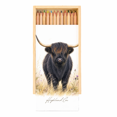 Black Highland Cow with thistles. - Coloured Pencils with Box by Wildling Studio