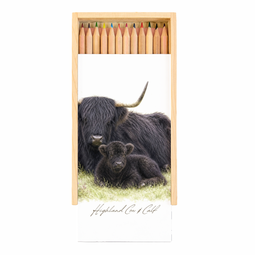 Black Highland Cow and calf - Coloured Pencils with Box by Wildling Studio