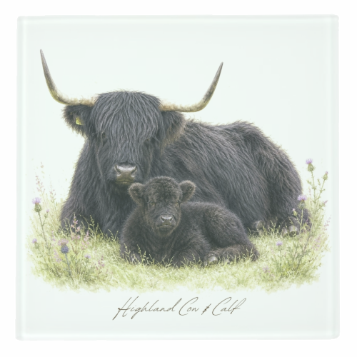 Black Highland Cow and calf - personalised beer coaster by Wildling Studio