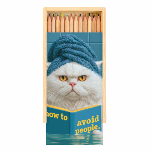 How to avoid people - Coloured Pencils with Box by DejaReve