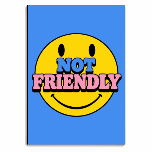 Not Friendly - personalised A4, A5, A6 notebook by Lilly Rose