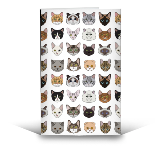 Cats - funny greeting card by Kitty & Rex Designs