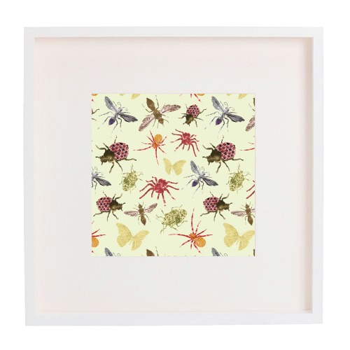 Insects - framed poster print by Stag Prints