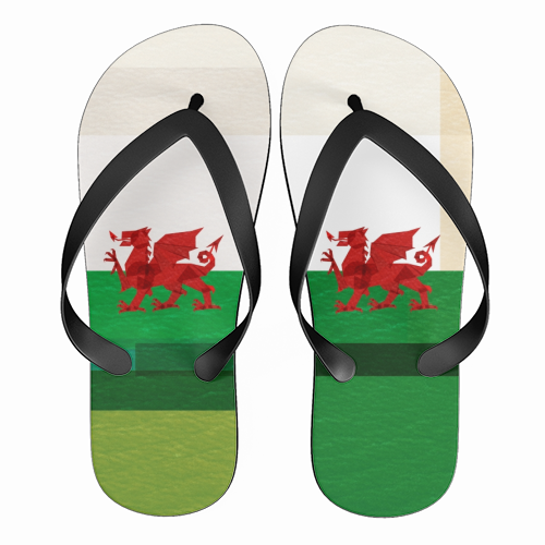 Wales - funny flip flops by Fimbis